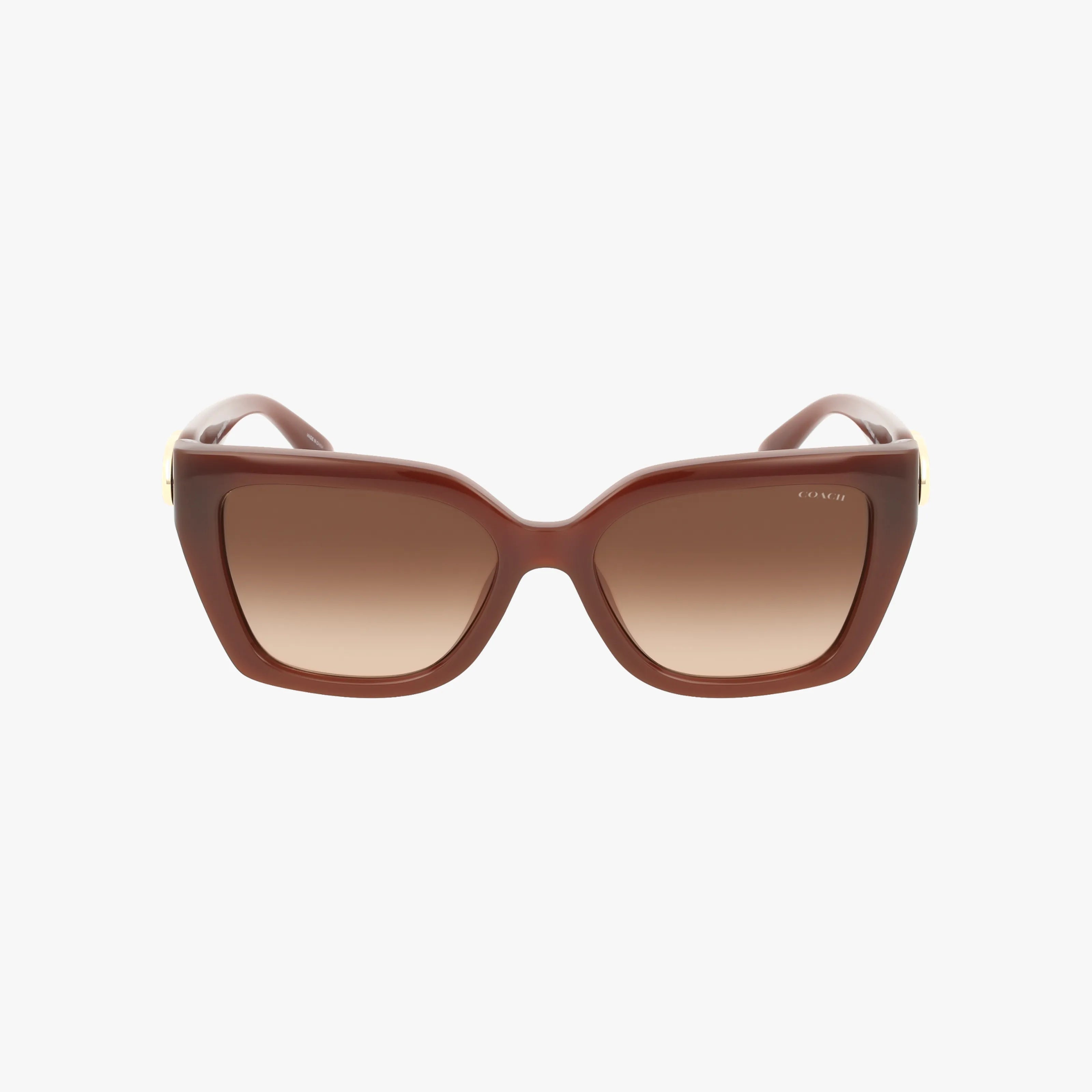 The Coach HC8408U oversized square sunglasses feature thick brown frames and premium gradient lenses for superior protection, displayed against a plain white background.
