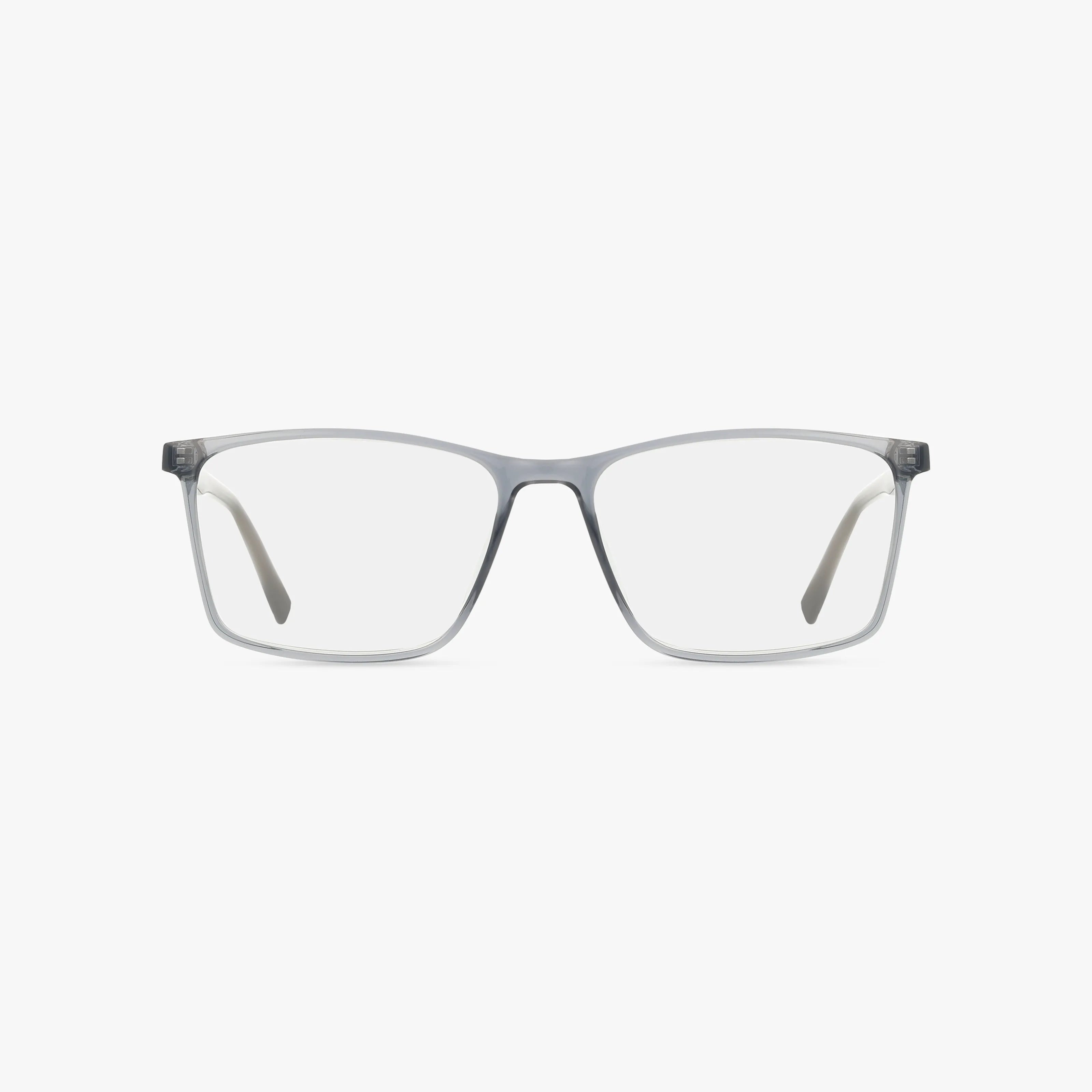 The Fregossi 1029 features modern, translucent gray rectangular eyeglass frames with clear prescription lenses, displayed facing forward on a white background.