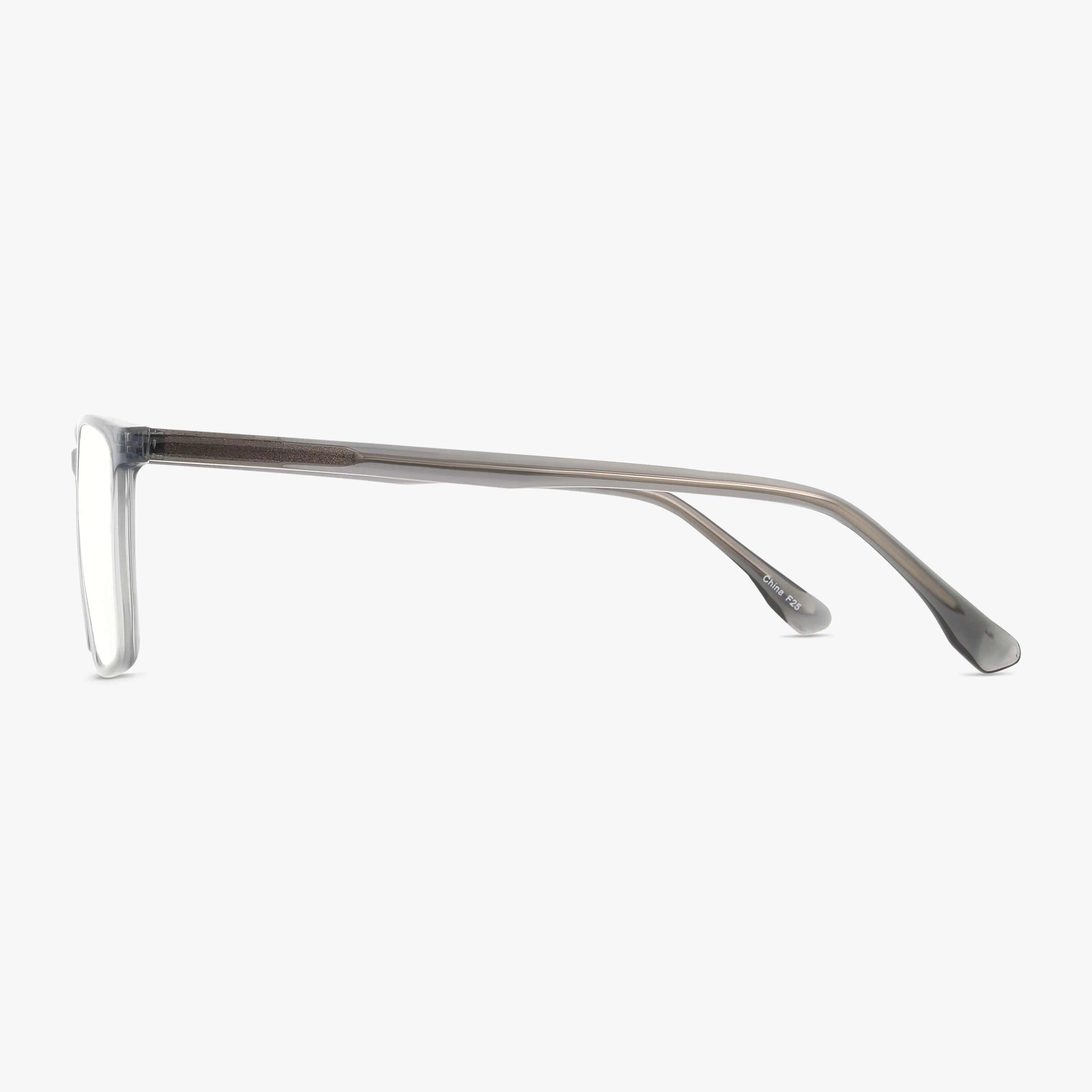 Side view of Fregossi 1029 eyeglass frames with a transparent gray design and straight temple arms, fitted with prescription lenses, photographed against a plain white background.